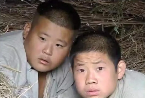 好看的国产电视剧推荐