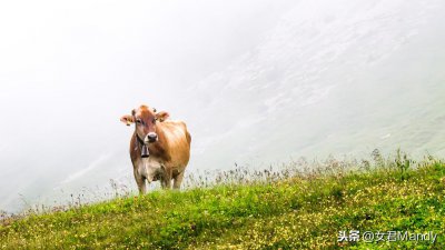 一件事总是反反复复的想是什么行为 如何控制反刍思维