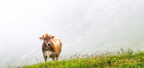 一件事总是反反复复的想是什么行为