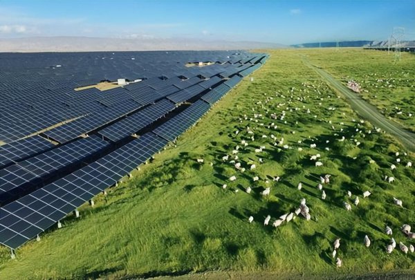 中国光伏发电十大名牌排行