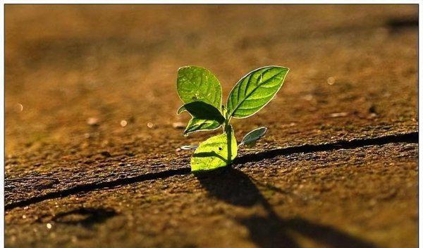 宿舍关系不好太压抑怎么办