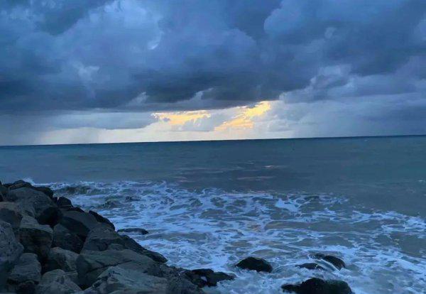 刑满释放回来需要办哪些事情