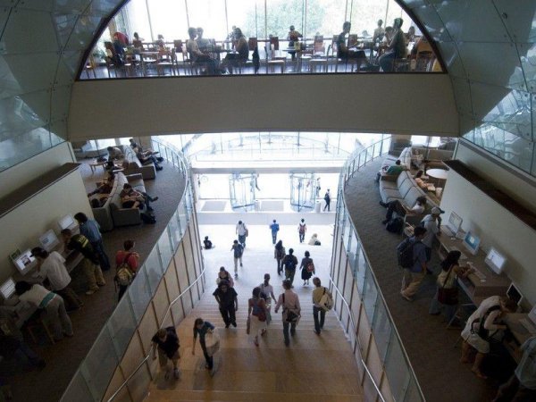 纽约大学qs世界排名2022