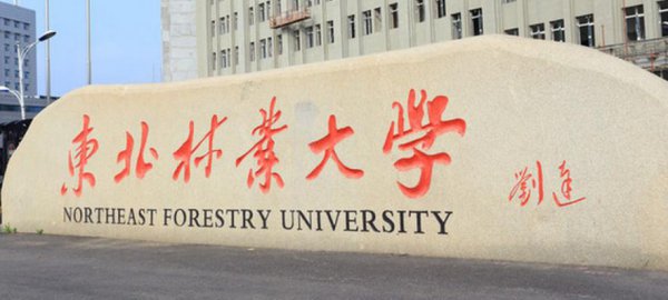 哈尔滨大学排名哪所最好