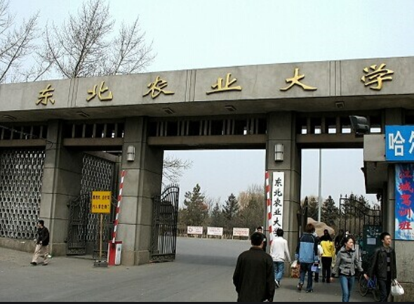 哈尔滨大学排名哪所最好