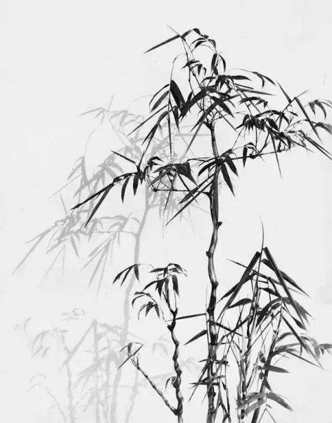 花中君子是哪四种花