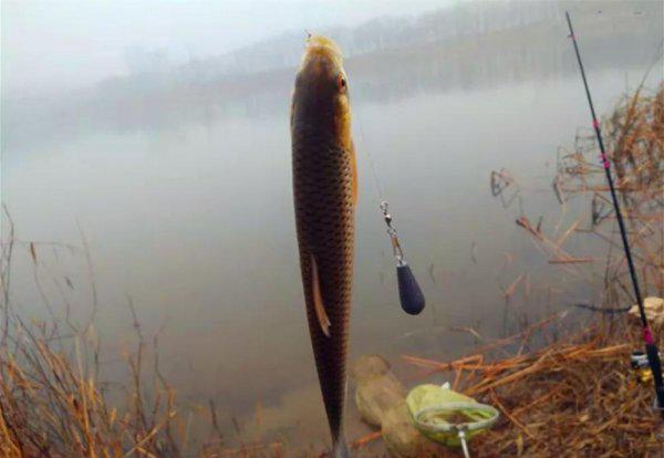 红眼鱼怎么钓最佳