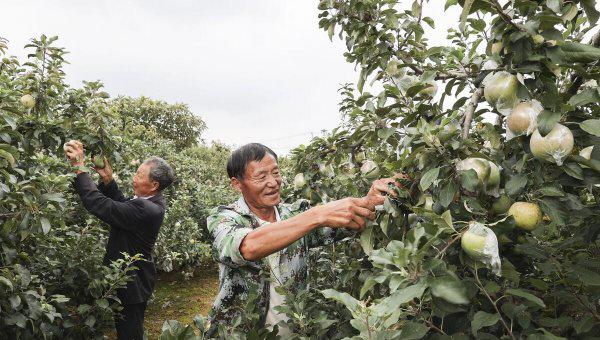 连云港在哪个省份