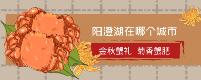 阳澄湖在哪里 阳澄湖大闸蟹与太湖蟹的区别在哪里