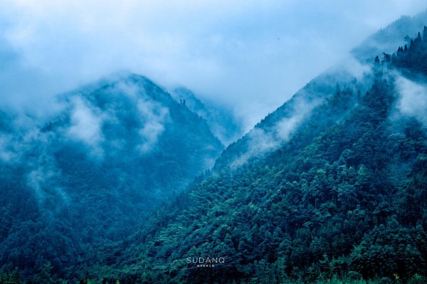 德阳市属于哪个省