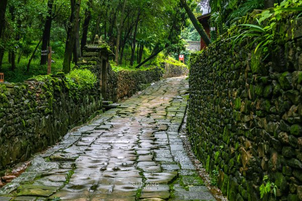 德阳市属于哪个省