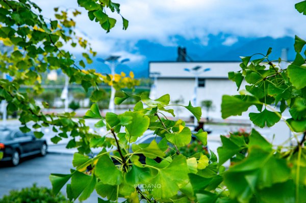 德阳市属于哪个省