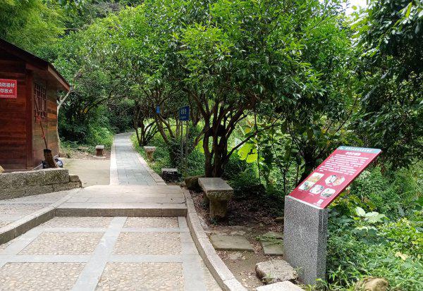 深圳的梧桐山多高