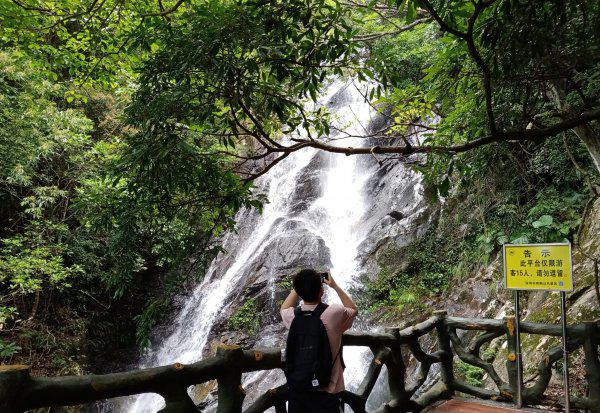 深圳的梧桐山多高