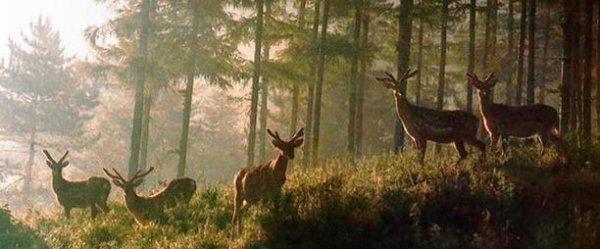 辽源市是哪个省的城市