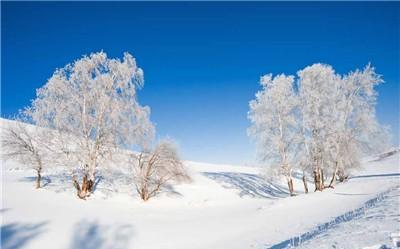 辽源市是哪个省的城市