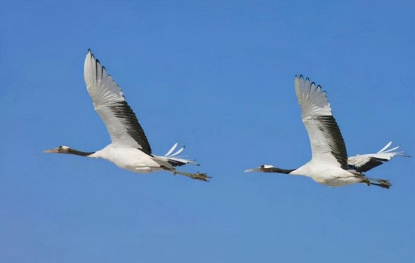 东北最适合养老的城市是哪里