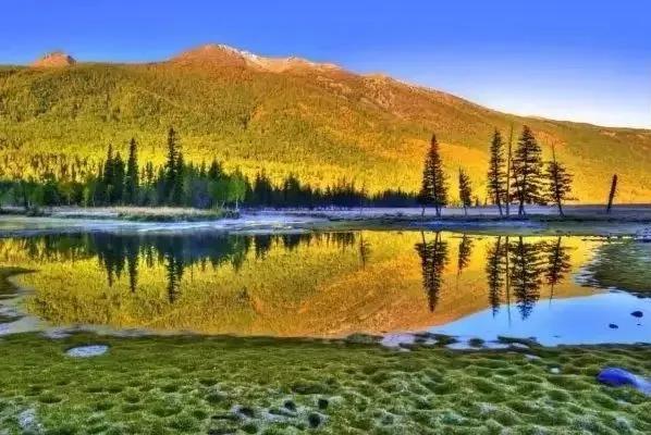 新疆有多少平方公里