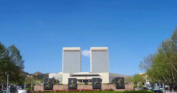 青岛大学是一本还是二本