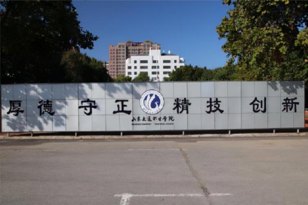 山东士官学校有哪些