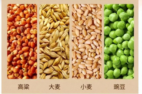 杜康酒是哪里产的