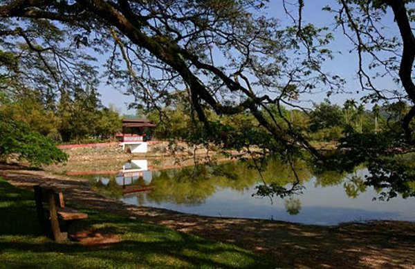 作家老舍活了多少岁