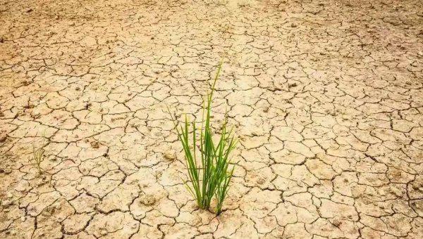 三月二十七是什么日子