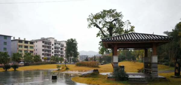 福鼎市属于福建哪个市