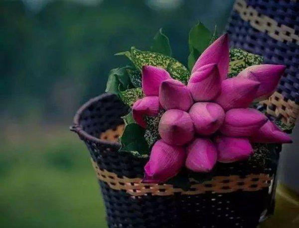 池上的作者是谁