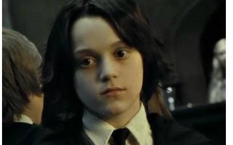 哈利波特斯内普是好的还是坏的