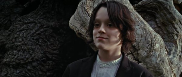 哈利波特斯内普是好的还是坏的