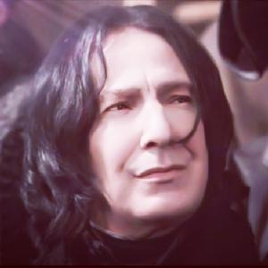 哈利波特斯内普是好的还是坏的