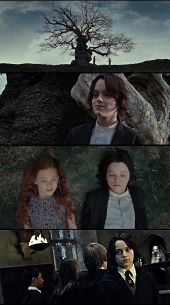 哈利波特斯内普是好的还是坏的