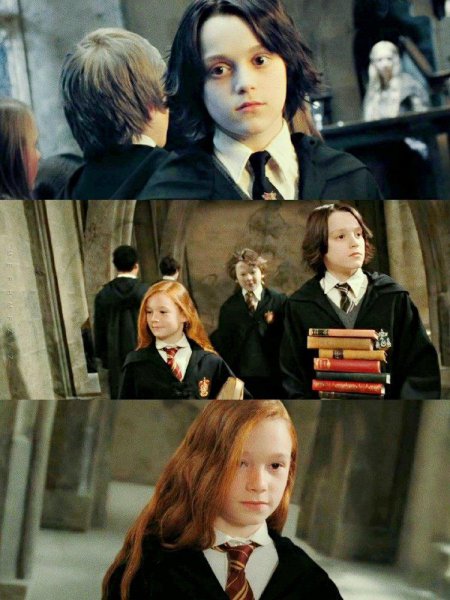 哈利波特斯内普是好的还是坏的