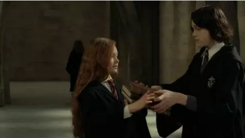 哈利波特斯内普是好的还是坏的