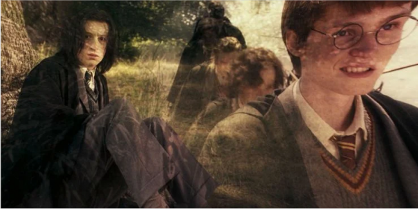 哈利波特斯内普是好的还是坏的