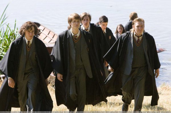 哈利波特斯内普是好的还是坏的