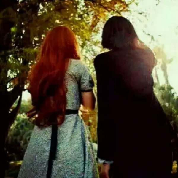 哈利波特斯内普是好的还是坏的