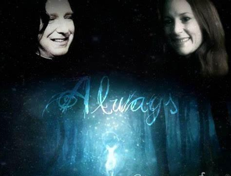 哈利波特斯内普是好的还是坏的