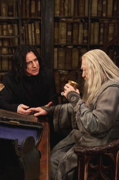 哈利波特斯内普是好的还是坏的