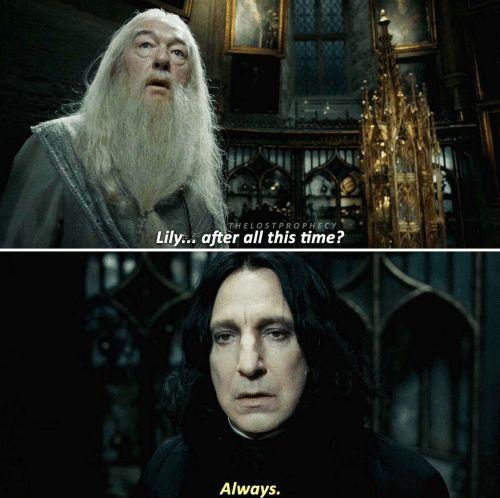 哈利波特斯内普是好的还是坏的