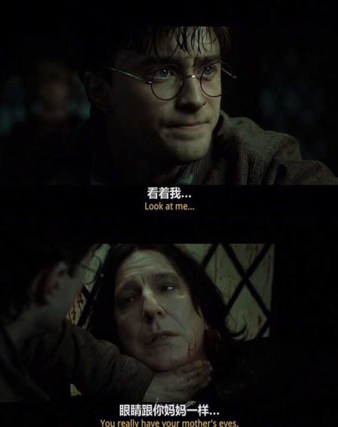 哈利波特斯内普是好的还是坏的