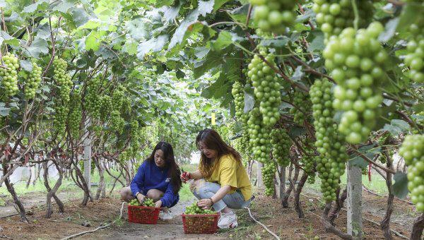 连云港是哪个省份的城市