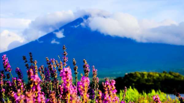 富士山海拔最高多少米