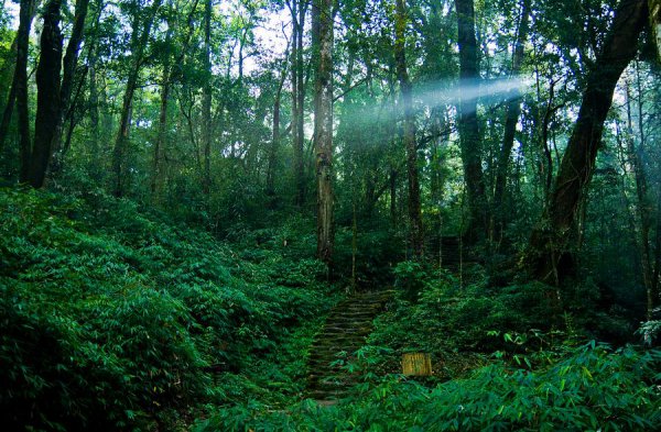 红河州有几个县市