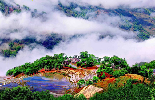 红河州有几个县市