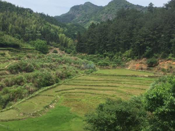 天下之名巧马钧发明的是什么东西