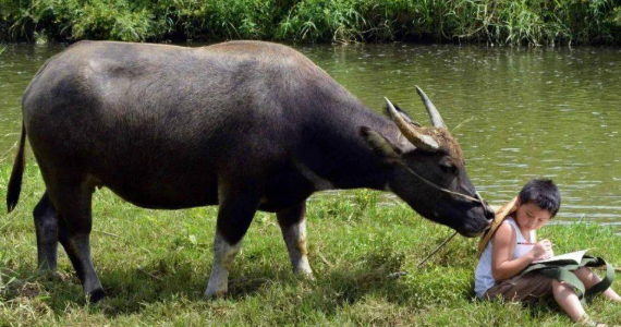 各种小动物的避暑方法