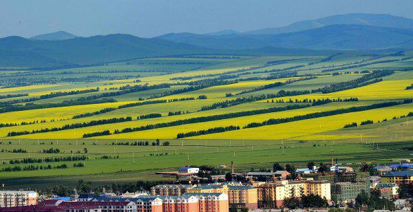 内蒙古海拔高度是多少米