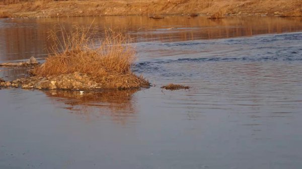 钓鱼走水什么意思